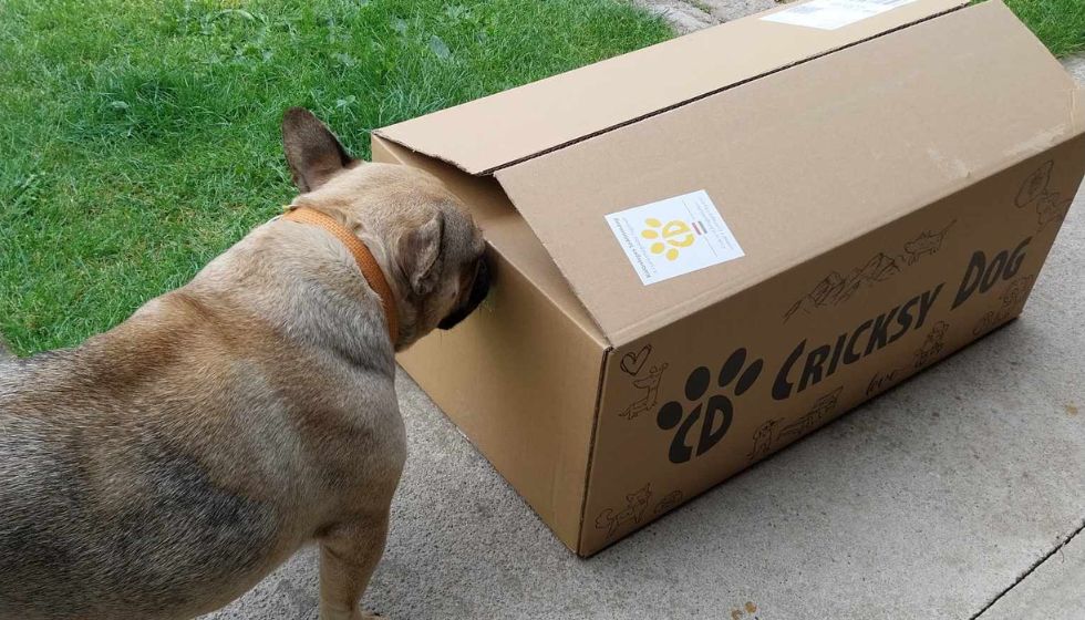 Kupi omiljenu CricksyDog hranu u pretplatničkom modelu
