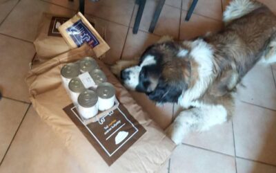 Blog 24 Besplatna dostava na sve CricksyDog proizvode bez obzira na količinu