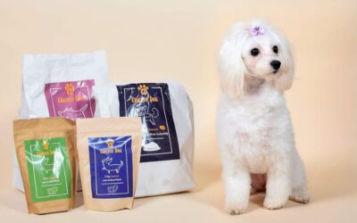 Blog 23 Juliet pakiranje od 1 kg za male pse – dostupno za narudžbu