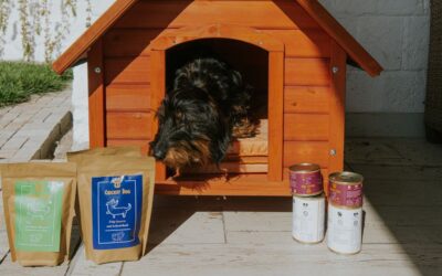 Blog 18 Twinky vitaminska kura: kada napraviti pauzu?