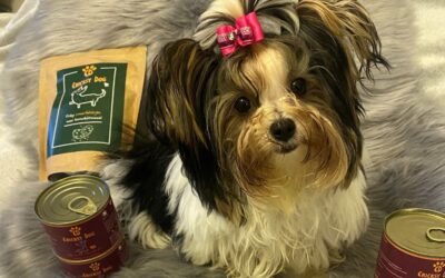 Blog 22 Cijena Juliet hrane – isplati li se? Mišljenja kupaca