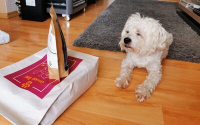 Chloé balzam za šape – što pišu stalni kupci?