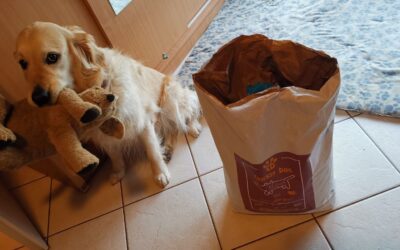 Ted suha hrana za pse – recenzije kupaca za velike pse