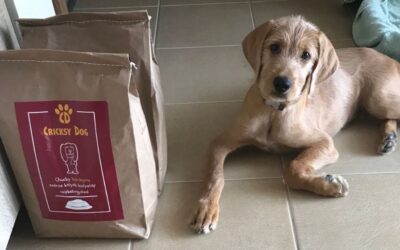 Ocjene kupaca o CricksyDog linijama proizvoda za pse