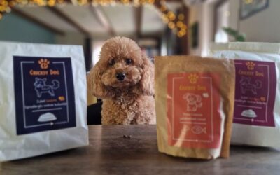 Što kažu vlasnici malih pasa o Denty Mini sredstvu za čišćenje zubi?