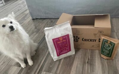 Ponašanje pasa nakon prelaska na CricksyDog hranu