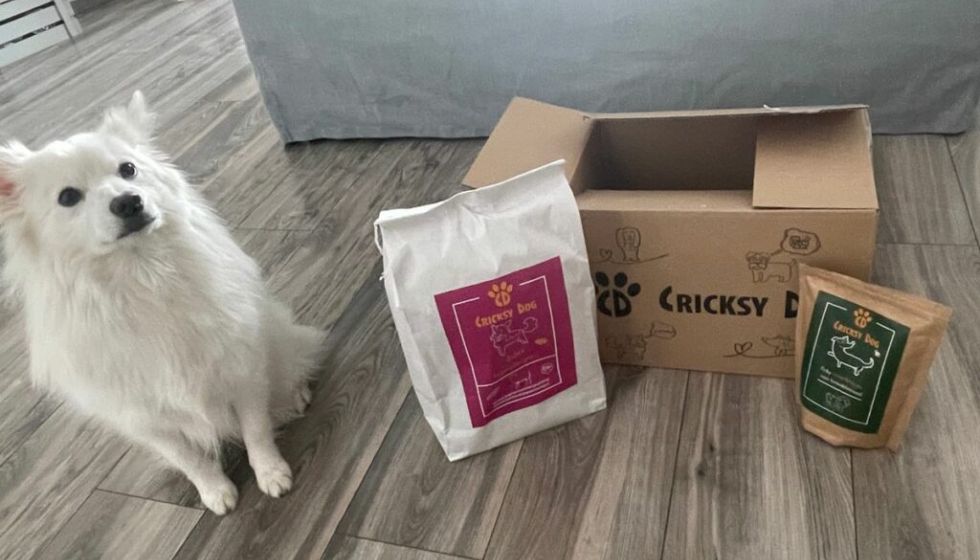 Ponašanje pasa nakon prelaska na CricksyDog hranu