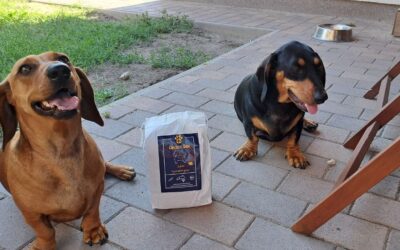 Učinak Denty Mini sredstva za zube nakon 1 mjeseca korištenja – mišljenja