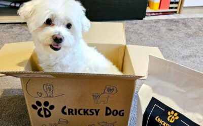 CricksyDog hrana za pse protiv proljeva – prema stvarnim recenzijama