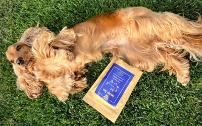 Iskustva kupaca s uzorcima CricksyDog hrane za pse