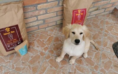 Recenzije o omjeru cijene i kvalitete CricksyDog hrane za pse