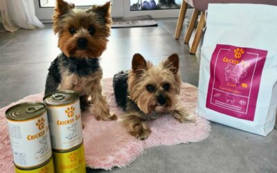 CricksyDog pitanja i odgovori kupaca – prikupljeni najčešći