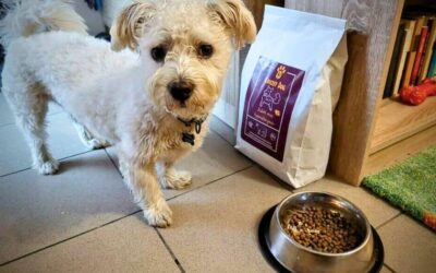 Kako se promijenio život tvog psa nakon CricksyDog hrane?