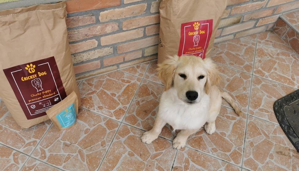 Recenzije o omjeru cijene i kvalitete CricksyDog hrane za pse