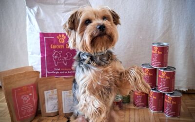 Najdraže kombinacije naših kupaca – ovo su uspješno isprobali sa svojim psima