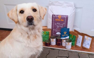 Twinky i Chloé proizvodi tijekom godišnjeg odmora – na što obratiti pažnju?