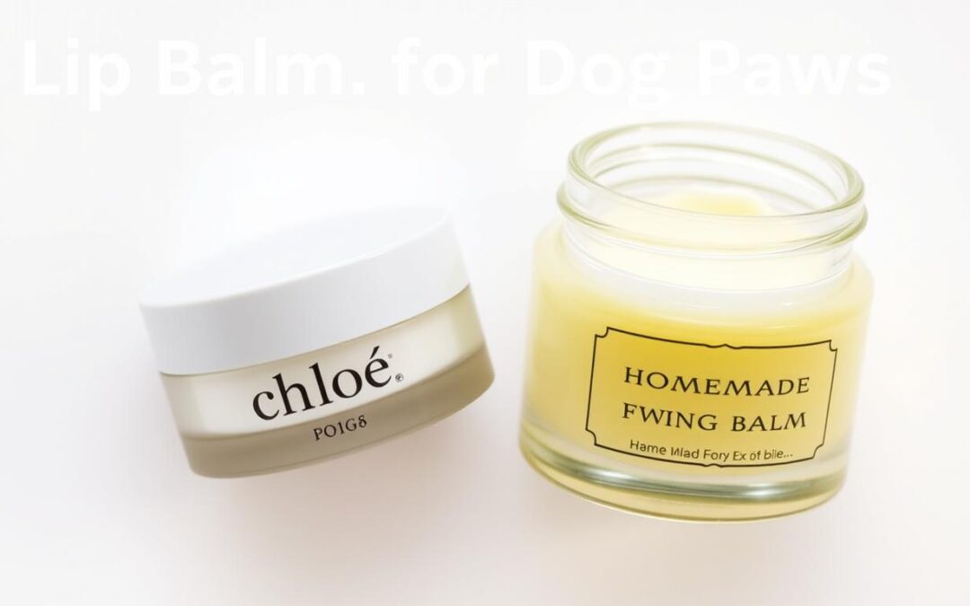 Blog 14 Chloé balzam za šape vs domaći balzam – što je bolje?