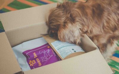 Dugoročni učinci hrane Juliet s janjetinom