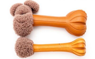 Mekani ili dugotrajan zubni griz – kada je koji bolji?