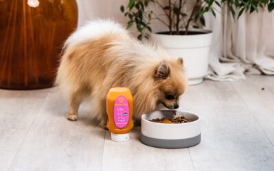 Blog 24 Što učiniti ako tvoj pas prihvaća samo Mr. Easy premium veganski topping?