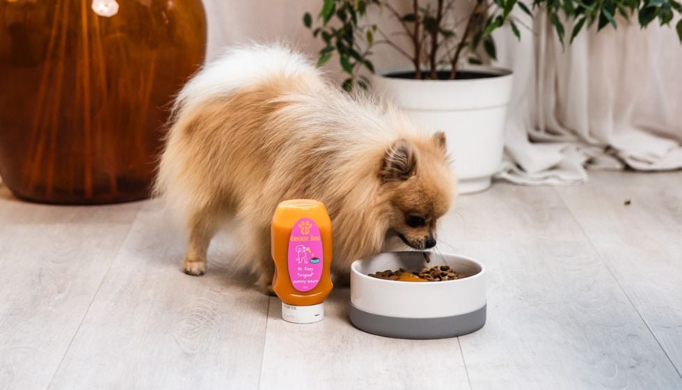 Što učiniti ako tvoj pas prihvaća samo Mr. Easy premium veganski topping?