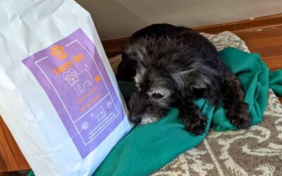 Što učiniti ako ti je pas ostario, ali inzistira na CricksyDog hrani?