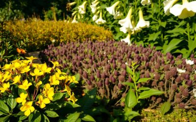 Blog 16 Koje su opasne ljetne biljke za pse?