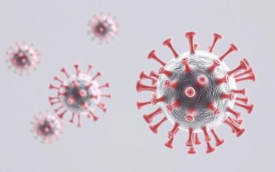 Mačji herpesvirus – Sve što trebate znati o tome!