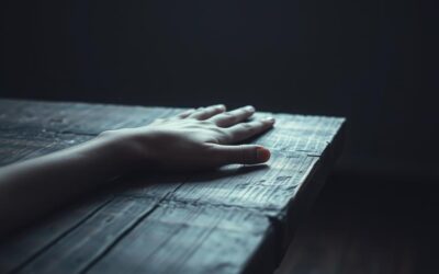 Mačji blog 23 Više se ne češe – i to govori sve