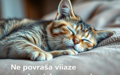Mačji blog 20 Ne povraća više nakon jela – napokon