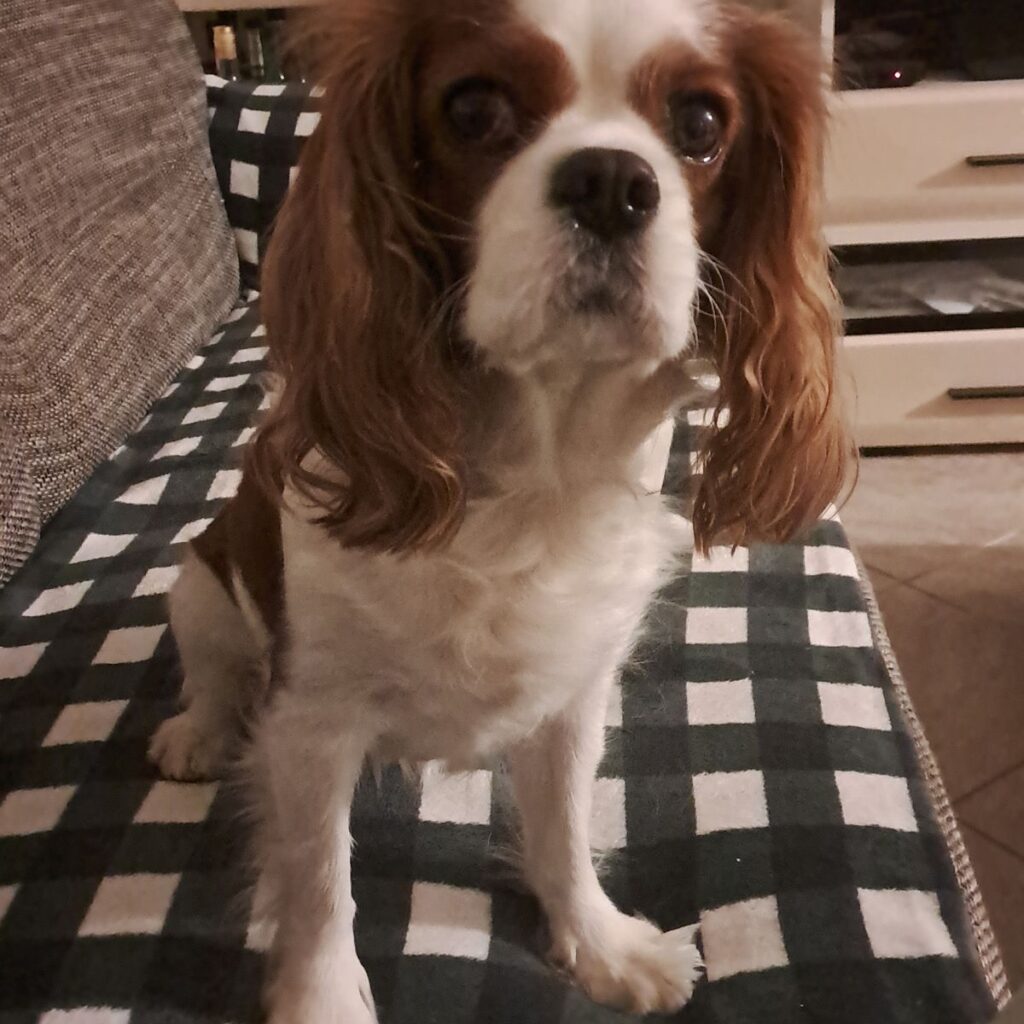 Image #1 from Jasna Bergam