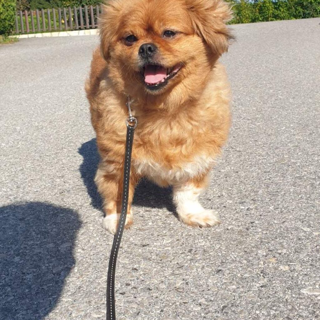 Image #1 from Helena