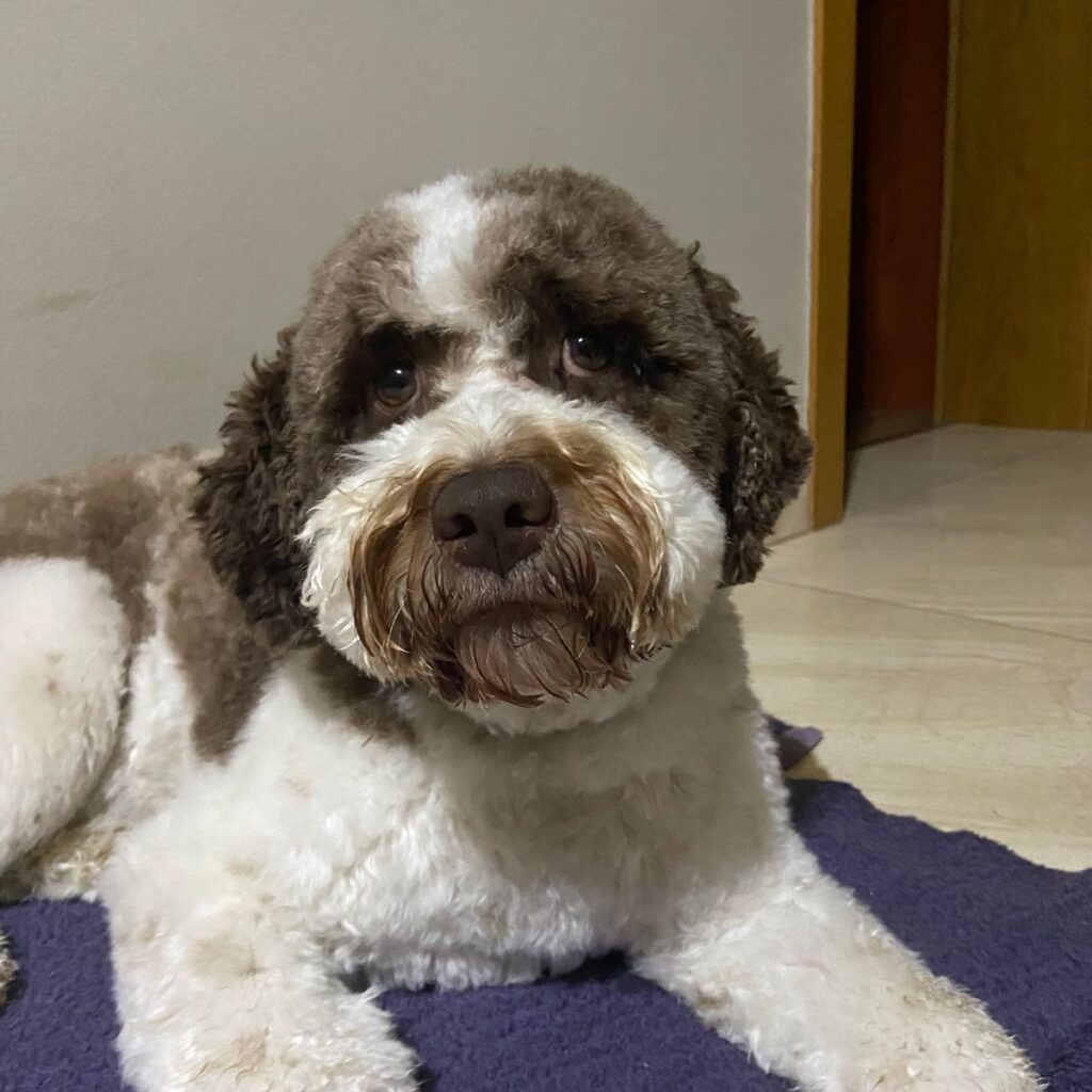 Image #1 from Ivana R.