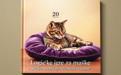 Logičke igre za mačke – Sve što trebaš znati o tome!