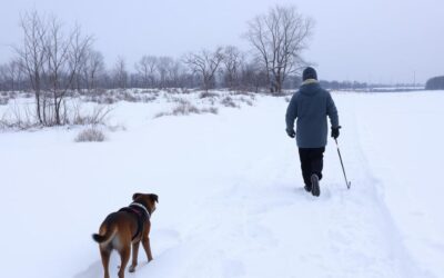 Opasnosti zimskih šetnji s psom – Sve što trebaš znati o tome!