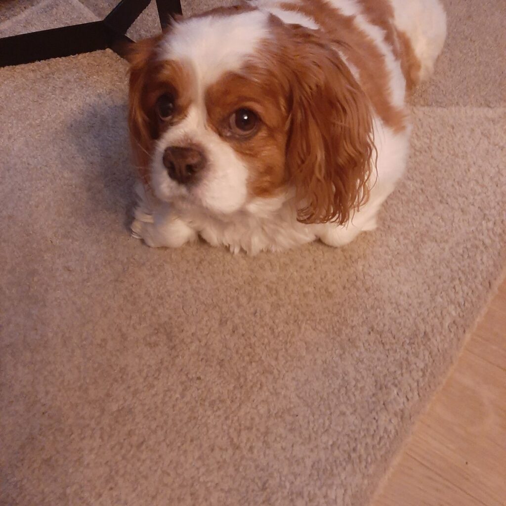 Image #1 from Olga Oršić