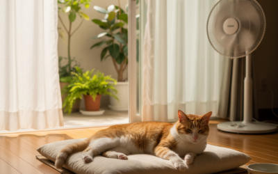 Mačji blog 22 Zaštita mačke od ljetnih vrućina – Sve što trebaš znati o tome!