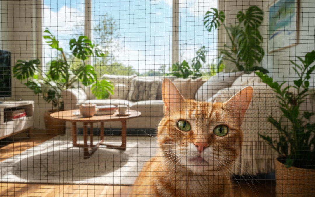 Zaštita prozora za mačku – Sve što trebaš znati o tome!