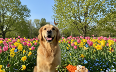 Proljetna prehrana psa – lakša ili hranjivija?