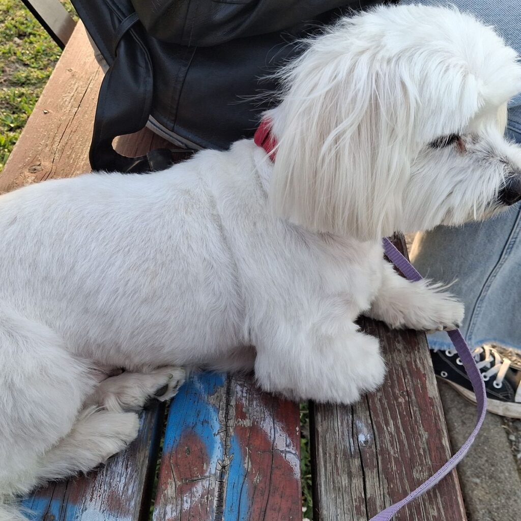 Slika #1 od Danka Rogić