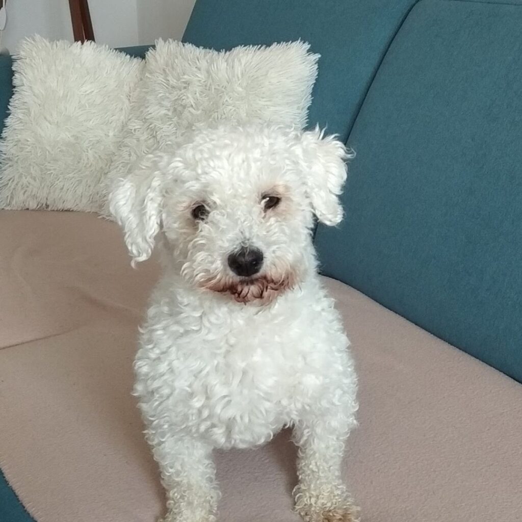 Slika #1 od Ivana M.