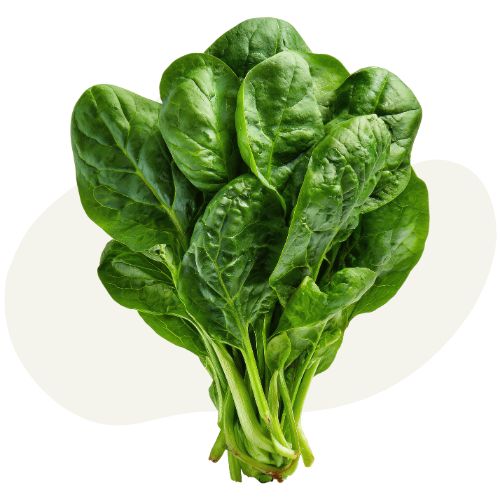 spinach 1