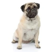 hr 2024 09 mopsz