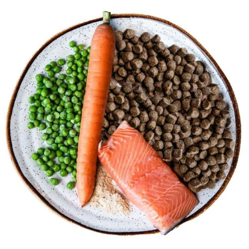 hr 2025 09 CC JHL cat food