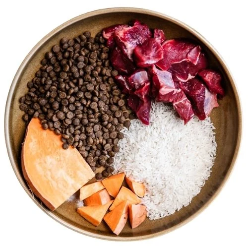 hr 2025 09 CHM dog food
