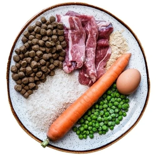 hr 2025 09 JHB dog food