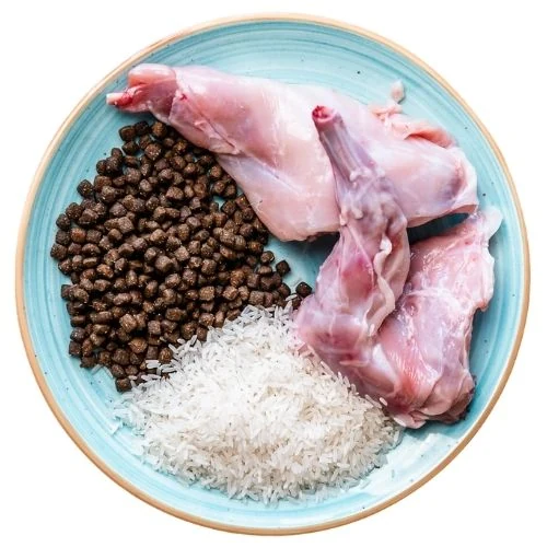 hr 2025 09 JHNY dog food