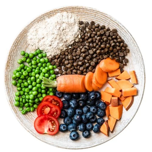 hr 2025 09 JHR dog food