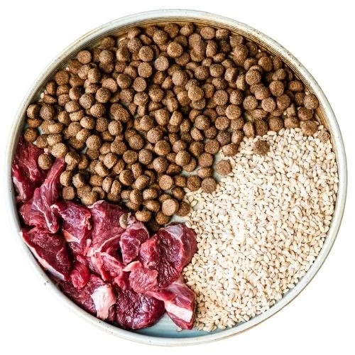 hr 2025 09 JM dog food