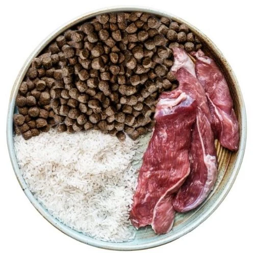 hr 2025 09 OB dog food